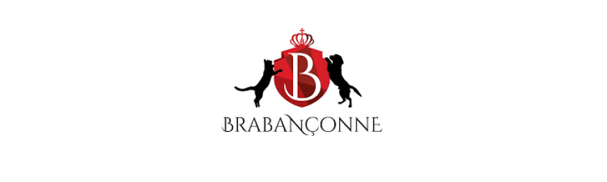 Brabanconne